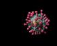 病毒的主要化学成分是什么？