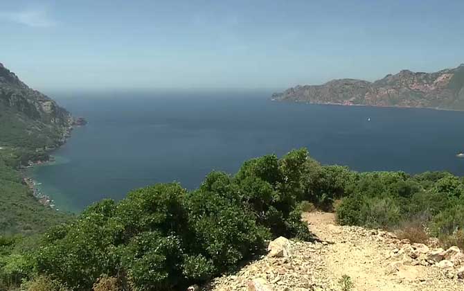 地中海气候