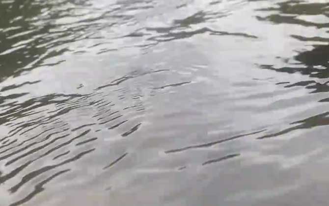 水