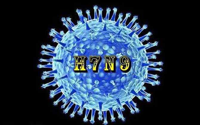 H7N9病毒