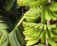 吃香蕉补充什么营养？