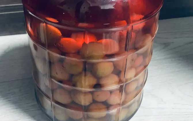 杨梅泡酒