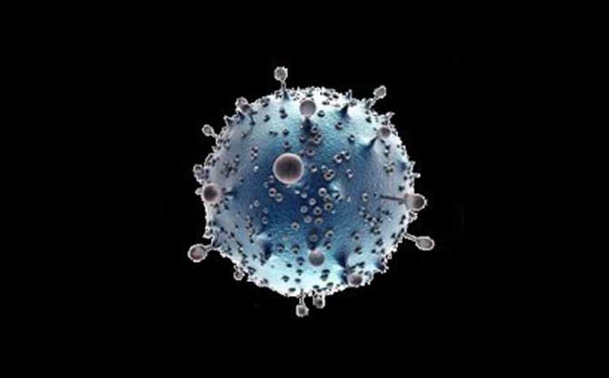 病毒是什么东西？