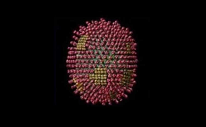 病毒的种类有哪些？