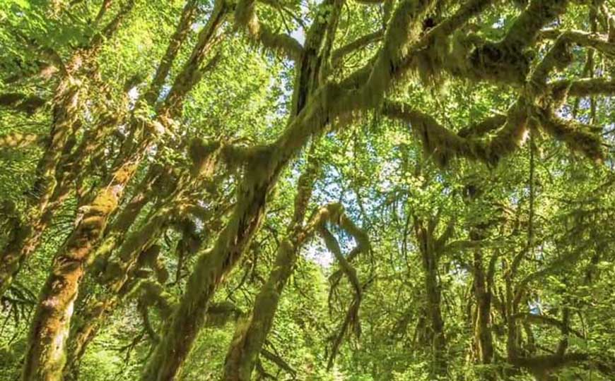 气候是什么意思？