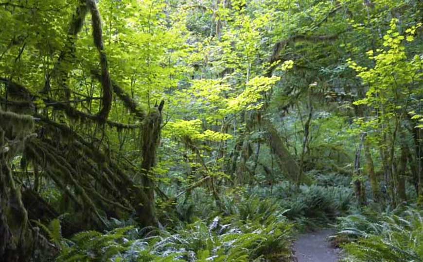 热带气候类型的特点及分布