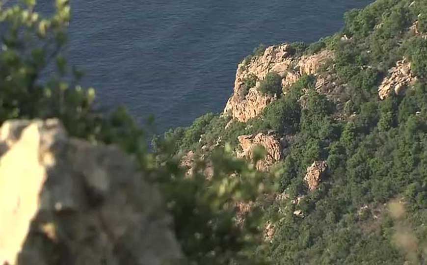 亚热带气候类型的特点及分布