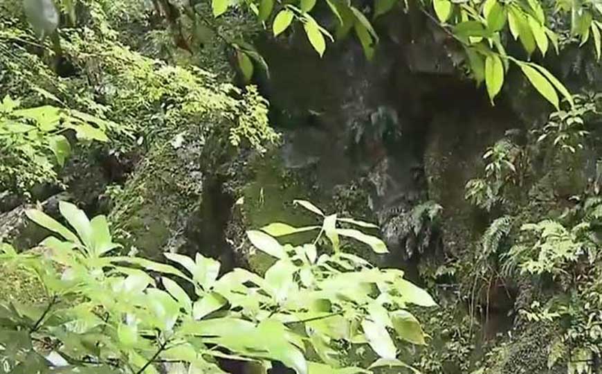 亚热带季风气候