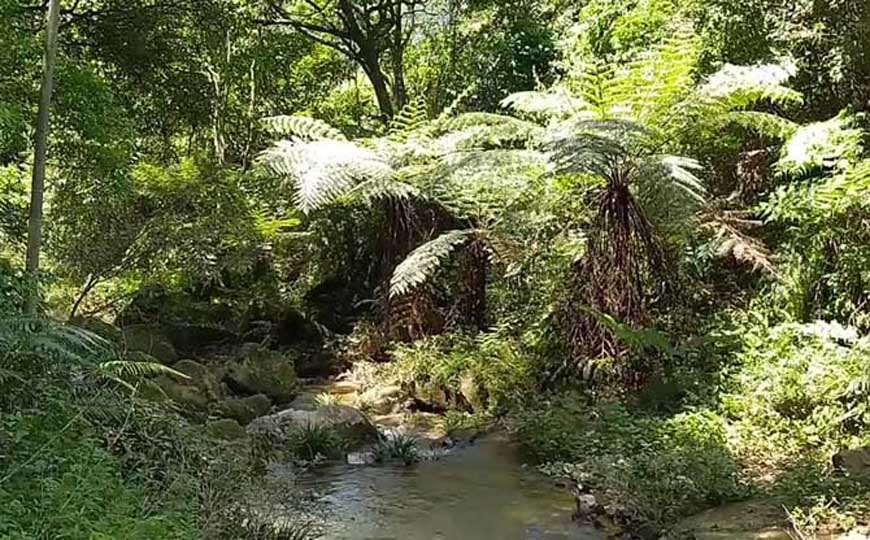 亚热带湿润气候的特点及分布