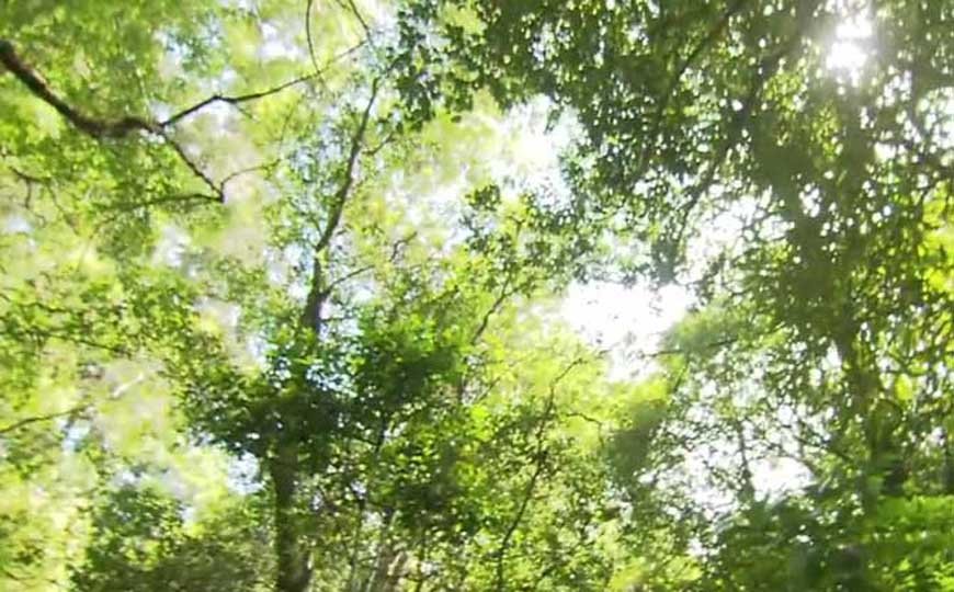 温带海洋性气候的特点及成因