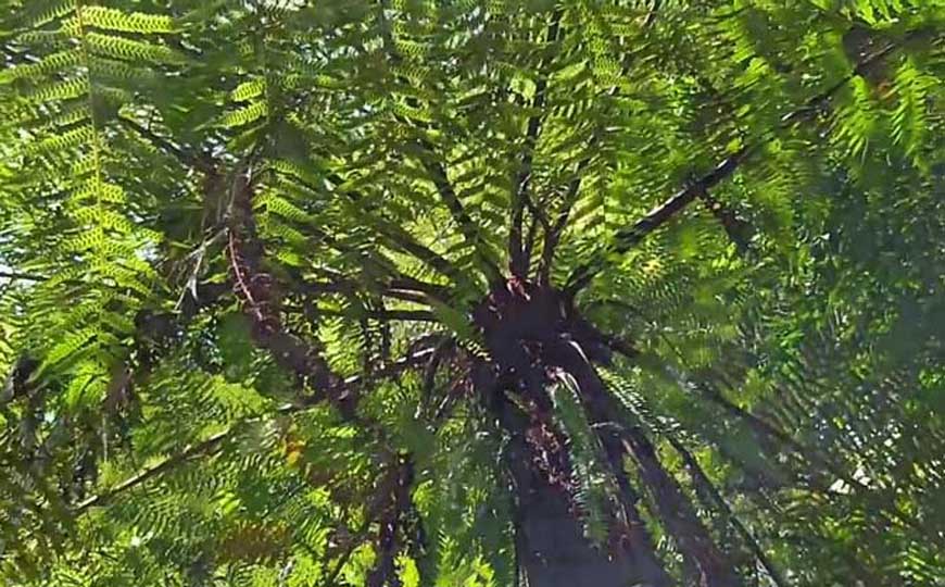 季风气候的特点及成因