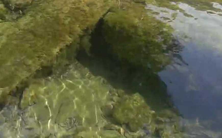 1吨水等于多少升？