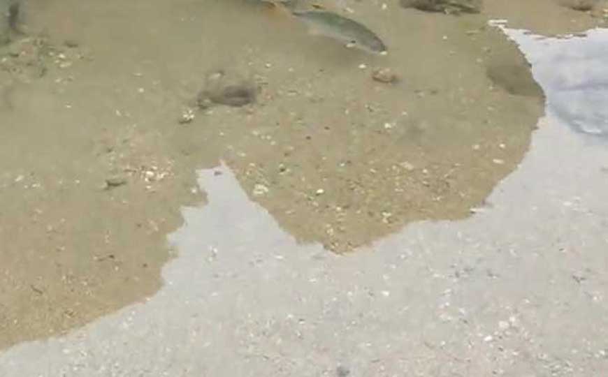 水的硬度是什么意思？