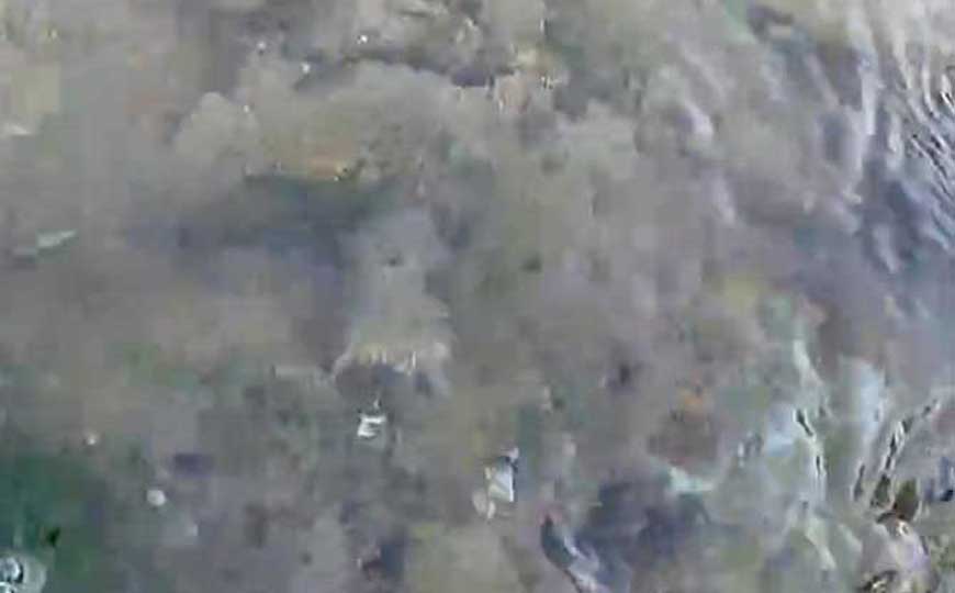 结合水是什么意思?