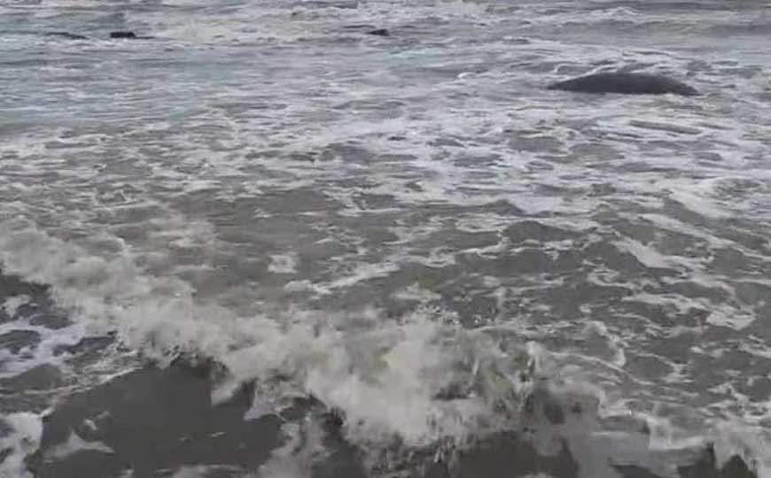 酸性水是什么意思?