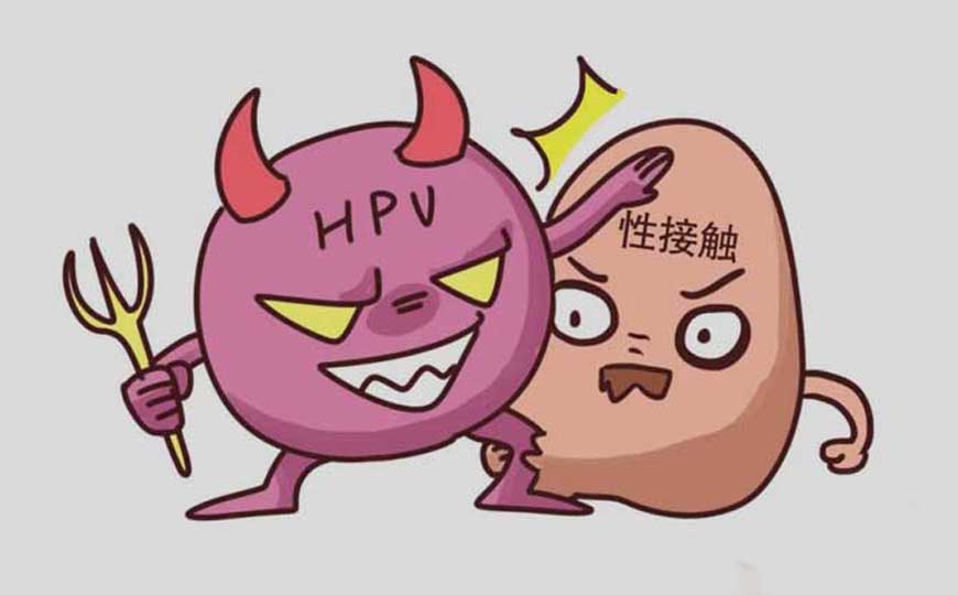 HPV病毒