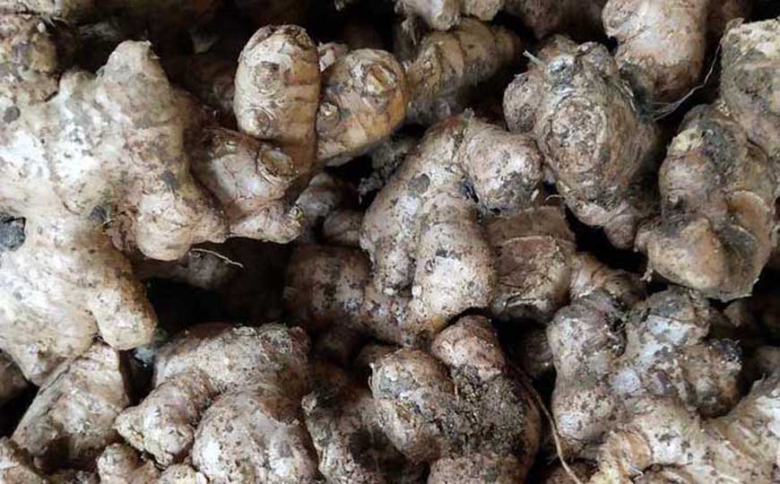 冬吃萝卜夏吃姜是什么意思？