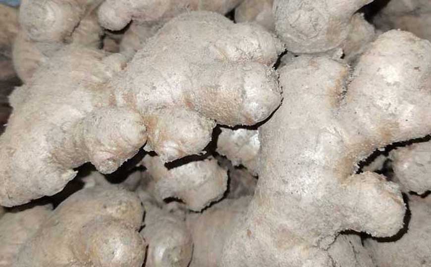 姜皮的功效与作用及禁忌人群