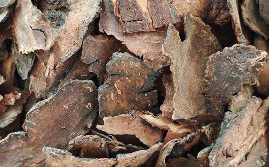 何首乌价格多少钱一斤？