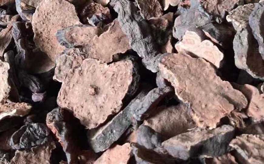 何首乌的营养价值和正确吃法