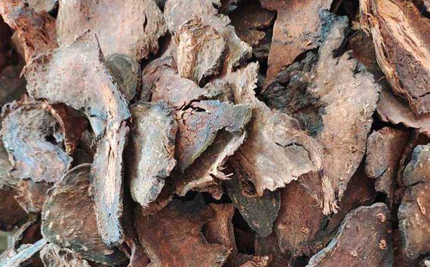 何首乌泡酒的功效及正确泡法