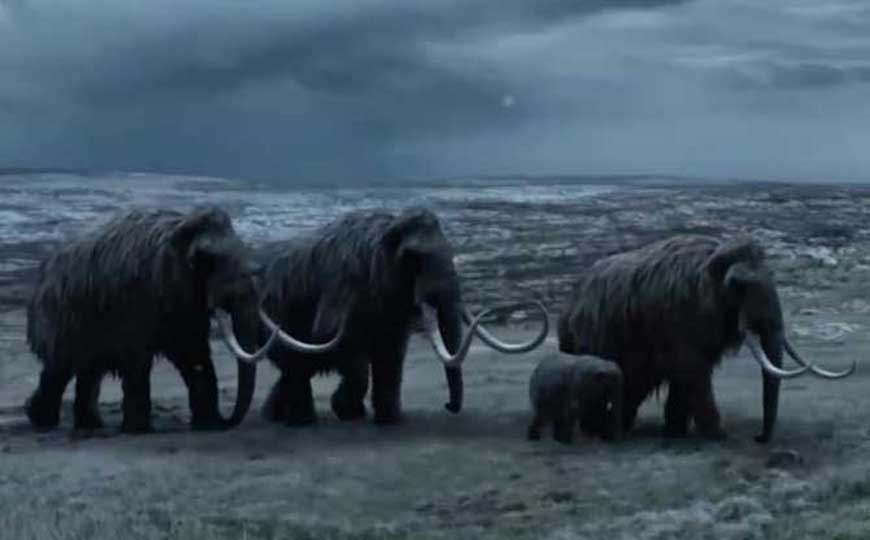 猛犸象是什么动物？