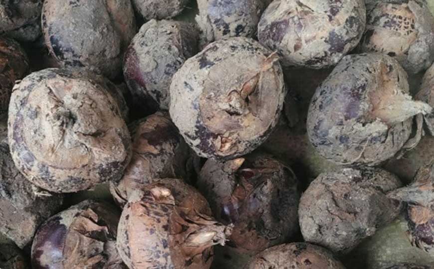 荸荠的营养价值