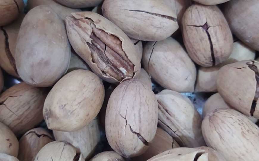 碧根果的功效与作用及禁忌人群