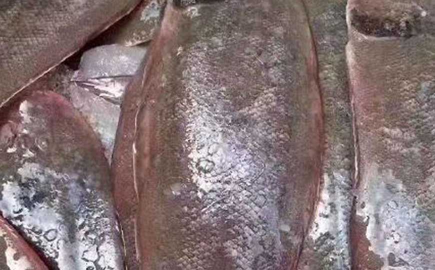 龙利鱼