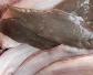 龙利鱼有鱼鳞吗？